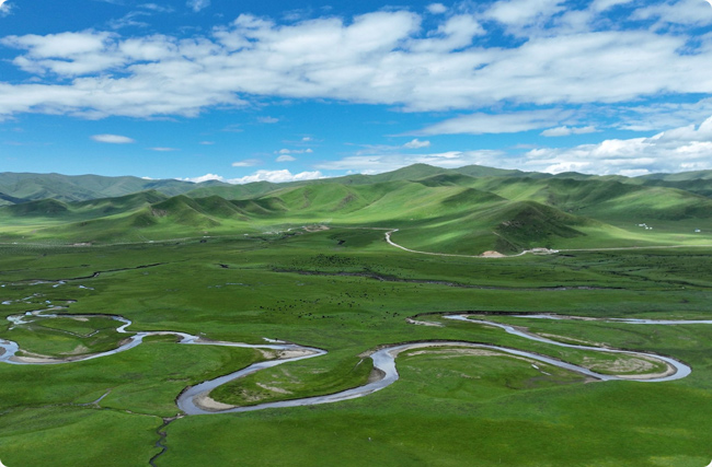 ��ظ�ԭ�׬F(xi��n)�����ŷ�