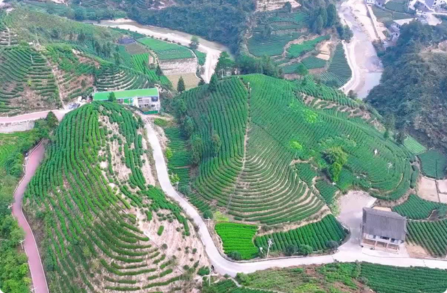 �r�I��ˮ̼�R, ���K̼�R����, ���ݽ���, �S���̼Ʊ