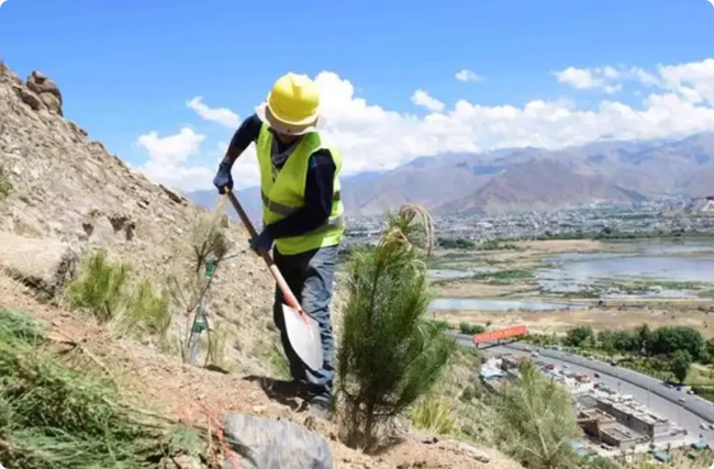 ����̼�R������Ҏ����ʩ