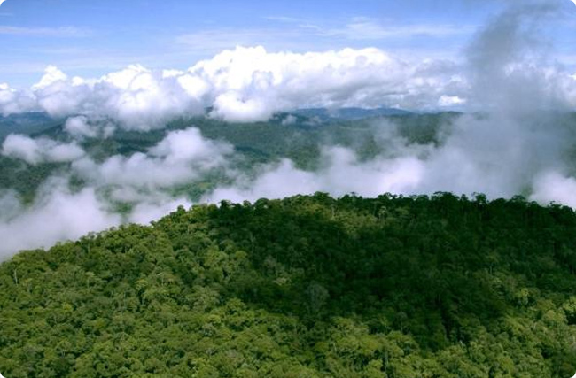 �|�ρ��羳̼���W�j������Ŀ��2030����1000�f��/��