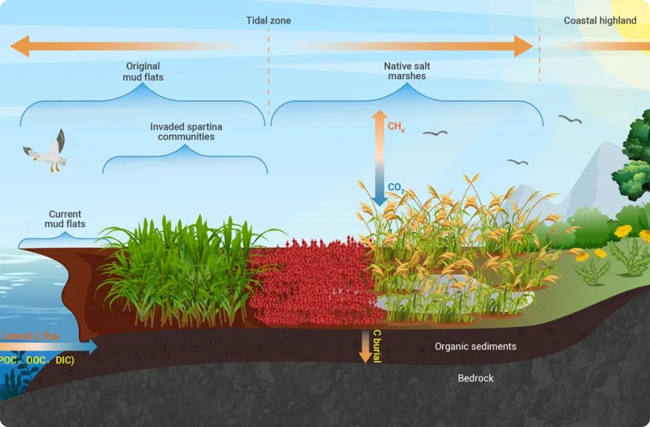 ���̼�R�����Ϝp��20�ꔵ���Č�ȫ��ģ��