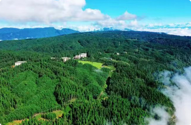 ���O(sh��)һ���ϸ��̼�R���ж��y��