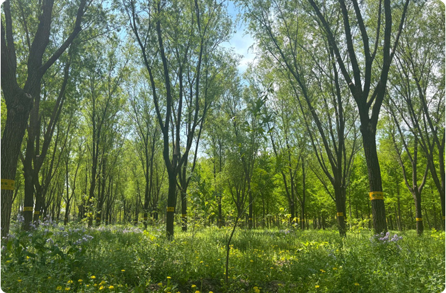 ̼�R�����ƾ֣��Gˮ��ɽ�Ѓr��