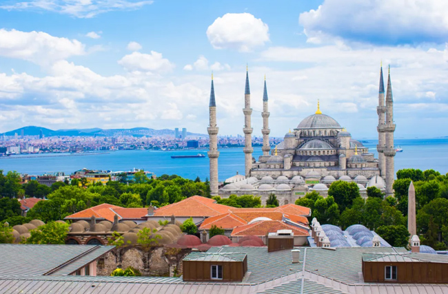 �錍�F40%�p��Ŀ��������Ͷ2650�|��Ԫ